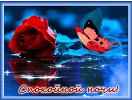11F626C3-8F8D-4F16-9821-200E968AD2ED.webp