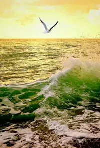 81221BE8-EBDA-4367-97D2-E4A8C2DBAF8C.webp