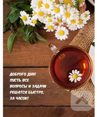 IMG-20220418-WA0011.webp
