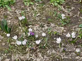 IMG20220419154320.webp