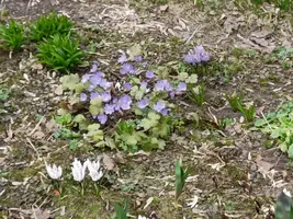 IMG20220419154325.webp