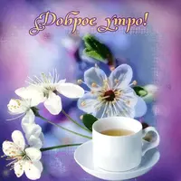 IMG-20220420-WA0008.webp