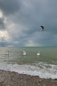 7-101322_Gallery.webp