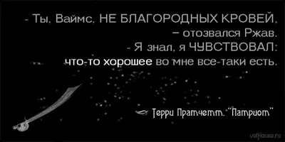 21.webp