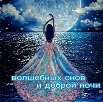 5E4CD961-7E16-4170-B1E7-529FBBEC77C4.webp
