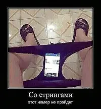 b3ff4bc4ac60485eaebf280fb77faecc.webp