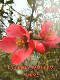 C066F53A-EFE0-43E6-B6F7-976678661DD3.webp