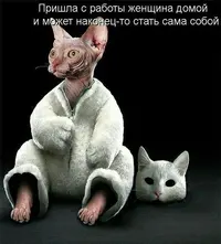 8e6da978837167b936ef8afccccde9e2.webp