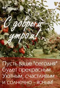 -kartinki12.webp