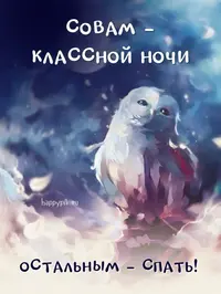 krasivye.webp