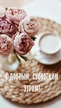 CA282ABE-8B0E-4005-9666-50CA8B5790E8.webp