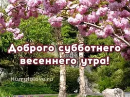 IMG-20220423-WA0007.webp