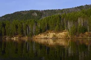 0003.webp