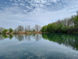 92051_Gallery.webp