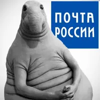 af3362ff8aa8b99868346a29f2782667.webp