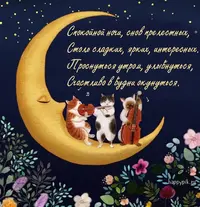 dobroj-nochi18_happypik.ru_.webp
