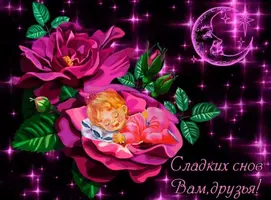 62E15F9F-DDA4-4791-9174-2EE2C83F70AE.webp
