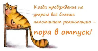 2323032885.webp