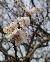 426-091534_Gallery.webp