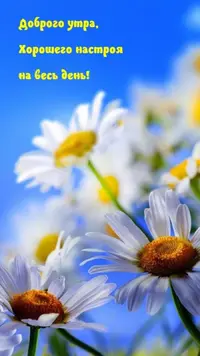 Screenshot_20220418-112041_Telegram.webp