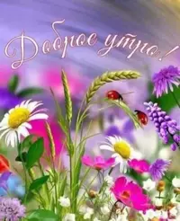 IMG-20220426-WA0011.webp