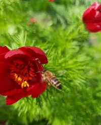 141420_Gallery.webp