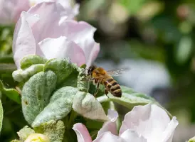 IMG_20220427_144424_copy_1399x1024.webp