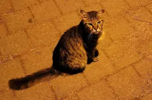 Screenshot_20220428-051738_Facebook.webp