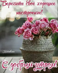 bf66530ad2eb23629cb0c693a5591760.webp
