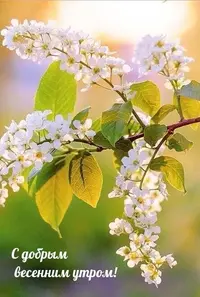 IMG-20220428-WA0000.webp