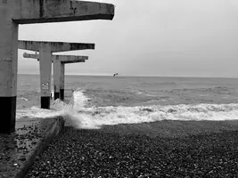 IMG-20210220-WA0004.webp