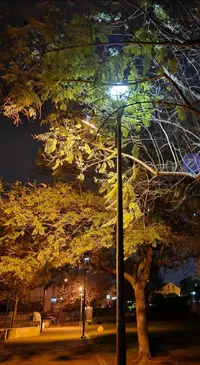 Screenshot_20220428-172430_Gallery.webp