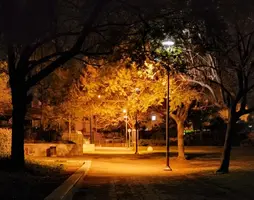 Screenshot_20220428-040627_Gallery.webp