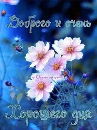 IMG-20220429-WA0009.webp