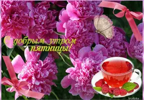 476568C5-16AE-470E-BCC0-BE70A28F52EB.webp