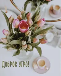 A335FEED-683A-4059-AAA3-E1894DD53AEA.webp
