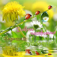 IMG-20220430-WA0005.webp