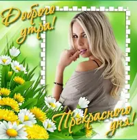 84.webp