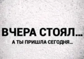 c1f40.webp