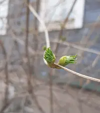 Screenshot_20220501-154354_Gallery.webp