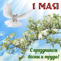 Screenshot_20220501-102916_Telegram.webp