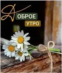 dadad33d1c41964c6e2493bbd463d8c0.webp