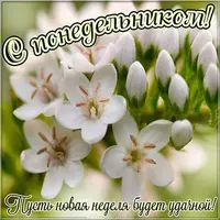 IMG-20220502-WA0004.webp