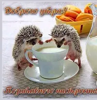 7c8f317ef40dea775bb6cefa5071552a.webp