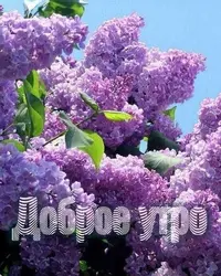 615614c7df8f896e29e7d968e484e2ed.webp