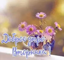 IMG-20220503-WA0002.webp