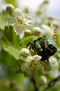 IMG_20220429_105854_copy_1024x1536.webp