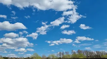 Screenshot_20220503-161716_Gallery.webp