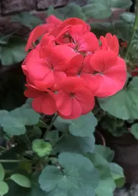 C63549D9-8813-407E-89EF-70525006F4EC.webp