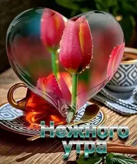 35E6447B-43CE-4226-811B-15BBC3D59632.webp
